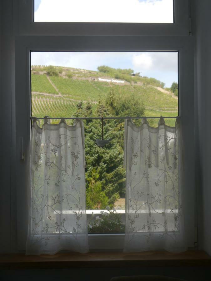 Altes Weingut Weinhaus Rebstock Apartment Winningen Bagian luar foto